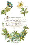 IOD LOVER OF FLOWERS, Rub on Transfer 12" x8" Pad. - Decoupage Central