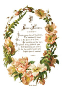 IOD LOVER OF FLOWERS, Rub on Transfer 12" x8" Pad. - Decoupage Central