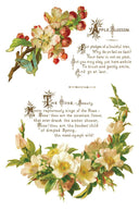 IOD LOVER OF FLOWERS, Rub on Transfer 12" x8" Pad. - Decoupage Central