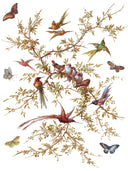 IOD Madeline , Rub on Transfer 12" x16" Pad, 8 pages - Decoupage Central