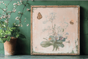 IOD Marche de Fleurs , Rub on Transfer 12" x16" Pad, 8 pages - Decoupage Central
