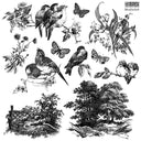 IOD Meadowlark Stamp Collection 12"x 12" - Decoupage Central