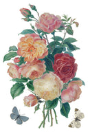 IOD Saint Ouen Transfer , Rub on Transfer 12" x 8" Pad - Decoupage Central