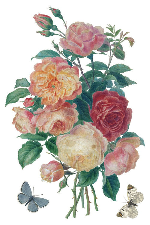 IOD Saint Ouen Transfer , Rub on Transfer 12" x 8" Pad - Decoupage Central