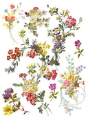 IOD St Germaine , Rub on Transfer 12" x16" Pad, 8 pages - Decoupage Central