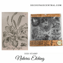 IOD Stamp Nature's Etchings 12"x 12" 2 Sheet Stamp Set - Decoupage Central