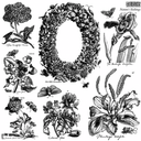 IOD Stamp Nature's Etchings 12"x 12" 2 Sheet Stamp Set - Decoupage Central
