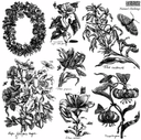 IOD Stamp Nature's Etchings 12"x 12" 2 Sheet Stamp Set - Decoupage Central