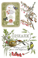 IOD Winter Botanist Rub on Christmas Transfer , Rub on Transfer 12" x 8" Pad. - Decoupage Central