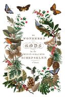 IOD Winter Botanist Rub on Christmas Transfer , Rub on Transfer 12" x 8" Pad. - Decoupage Central