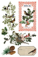 IOD Winter Botanist Rub on Christmas Transfer , Rub on Transfer 12" x 8" Pad. - Decoupage Central