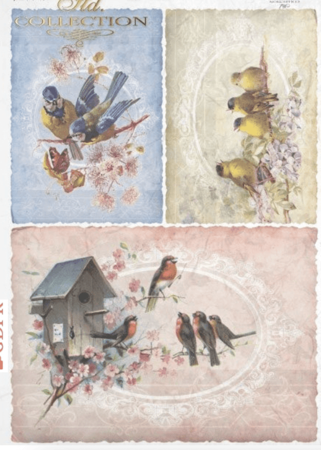 ITD A4 Rice Paper Beautiful Birds 0212 - Decoupage Central