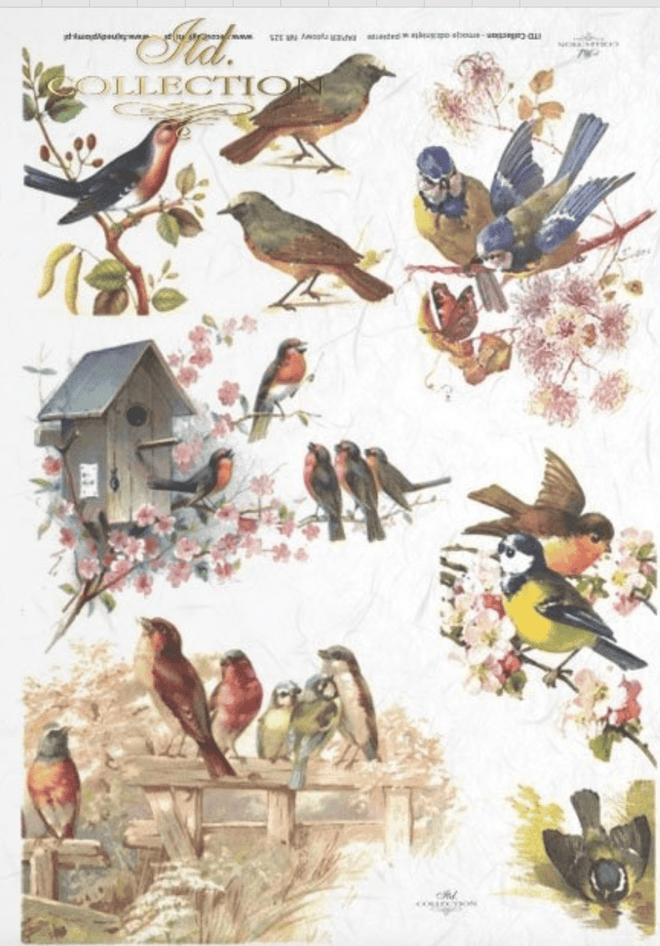 ITD A4 Rice Paper Beautiful Birds R0325 - Decoupage Central