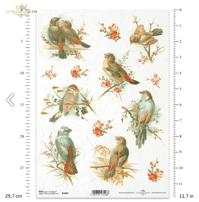 ITD A4 Rice Paper Simply Birds R1069 - Decoupage Central