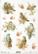 ITD A4 Rice Paper Simply Birds R1069 - Decoupage Central