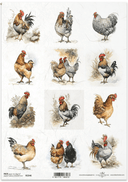 ITD A4 Roosters n Hens Multi Rice Paper Chickens R2346 - Decoupage Central