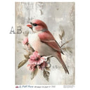 A4 LPP 566 Blushing Sparrow Rice Paper