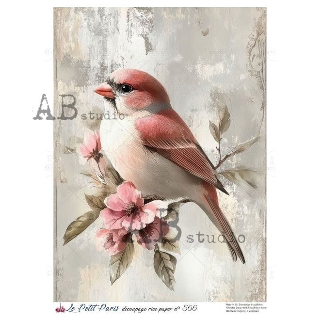 A4 LPP 566 Blushing Sparrow Rice Paper