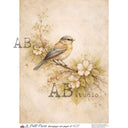 A4 Le Petit Paris 637 Golden Garden Sparrow