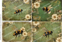 A4 DC973 Vintage Bumblebee Quartet Rice Paper for decoupage