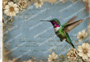 A4 DC975 Hummingbird in Blue Bloom Rice Paper for decoupage