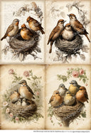 A4 DC979 Nesting Birds Collection Rice Paper for decoupage