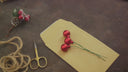 DIGITAL COLLECTION: The Christmas Tag Collection : 42 gift tags!  Instant Download