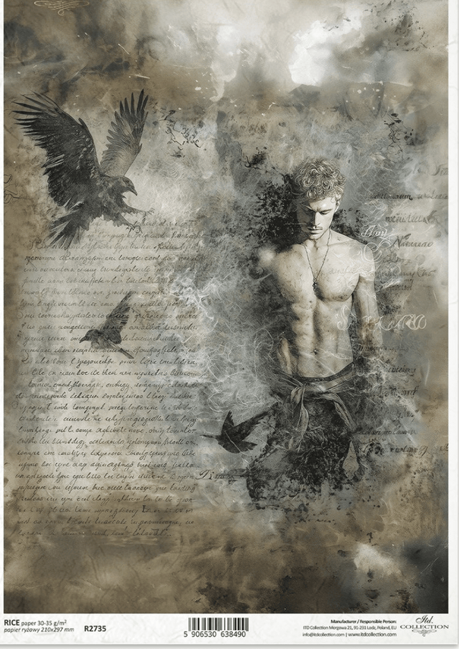 R2735 Bound to the Raven Rice Paper - Decoupage Central