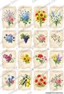 DIGITAL IMAGE: Carte Postale Floral