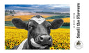 A4 Smell The Flowers Rice Paper DC096 - Decoupage Central